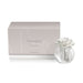 CH-6398 Decor/Candles & Diffusers/Scents & Diffusers