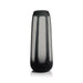 CH-6342 Decor/Decorative Accents/Vases