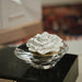 CH-6380 Decor/Candles & Diffusers/Scents & Diffusers
