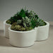 VT-1401 Outdoor/Lawn & Garden/Planters
