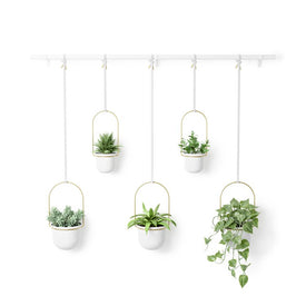 Triflora Hanging Planters Set of 5