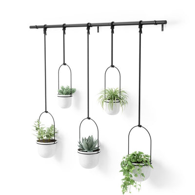 Product Image: 1018086-660 Outdoor/Lawn & Garden/Planters