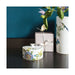 1044808230 Decor/Decorative Accents/Boxes