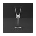 1136180070 Dining & Entertaining/Barware/Champagne Barware