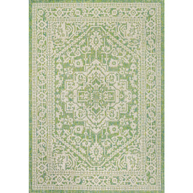 Sinjuri Medallion Textured Weave 91" L x 63" W Indoor/Outdoor Area Rug - Cream/Green