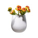 1016815512 Decor/Decorative Accents/Vases