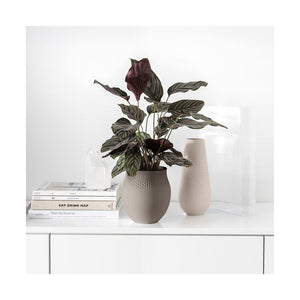 1016875511 Decor/Decorative Accents/Vases