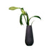 1016825515 Decor/Decorative Accents/Vases