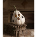 TJ1325 Holiday/Halloween/Halloween Indoor Decor