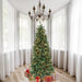 194061502549 Holiday/Christmas/Christmas Trees
