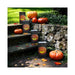 48124 Holiday/Halloween/Halloween Indoor Decor