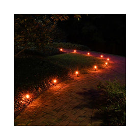 Electric Pathway Lights with 10 Steady Orange Bulbs