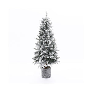WHAP1647 Holiday/Christmas/Christmas Trees