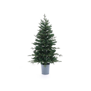 WHAP1622 Holiday/Christmas/Christmas Trees