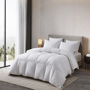 MS002063 Bedding/Bedding Essentials/Down Comforters