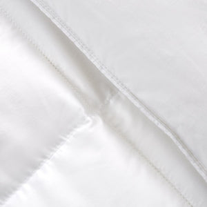 SE010217 Bedding/Bedding Essentials/Down Comforters