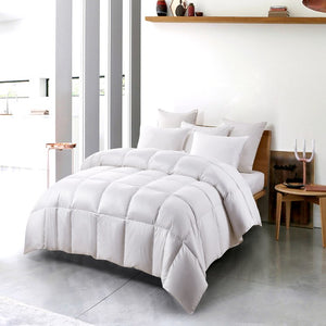 SE010218 Bedding/Bedding Essentials/Down Comforters