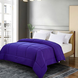 Microfiber Color Reversible Down Alternative All-Season Twin Comforter - Purple/Violet