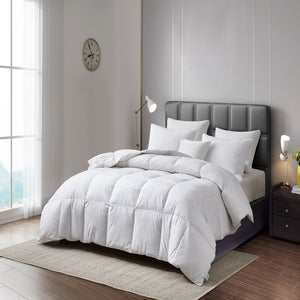 MS002067 Bedding/Bedding Essentials/Down Comforters