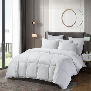 BR010135 Bedding/Bedding Essentials/Down Comforters