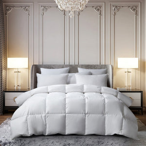 BR005133 Bedding/Bedding Essentials/Down Comforters