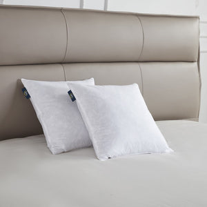SE200906K Decor/Decorative Accents/Pillows
