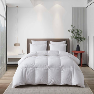 MS002061 Bedding/Bedding Essentials/Down Comforters