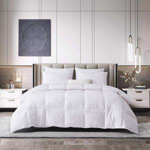 BR005383 Bedding/Bedding Essentials/Down Comforters