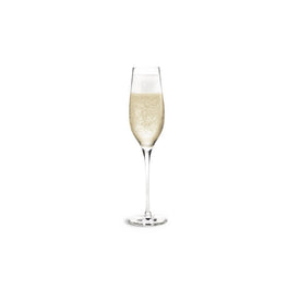 Cabernet Champagne Glass Clear 6 Pieces 9.8 oz