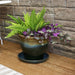 AP-244 Outdoor/Lawn & Garden/Planters
