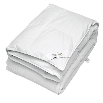 Product Image: quilt75quen1 Bedding/Bedding Essentials/Down Comforters