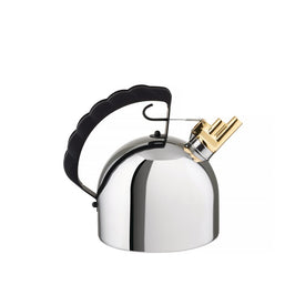 Stainless Steel Whistling Induction Stovetop Tea Kettle