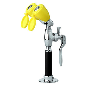 Eyesaver Tabletop Drench Hose and Eye Wash Combination Station