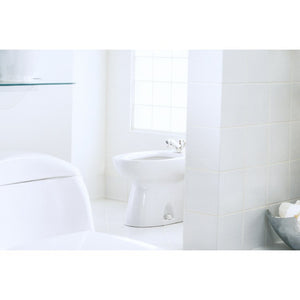 BT500AR#01 Bathroom/Toilets Bidets & Bidet Seats/Bidets