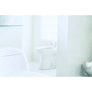BT500AR#11 Bathroom/Toilets Bidets & Bidet Seats/Bidets