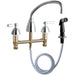 200-ACP Kitchen/Kitchen Faucets/Kitchen Faucets with Side Sprayer