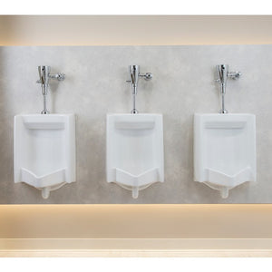 8312 General Plumbing/Commercial/Toilet Flushometers