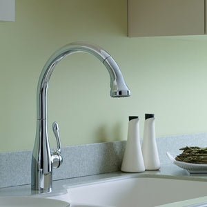 04066000 Kitchen/Kitchen Faucets/Pull Out Spray Faucets