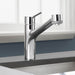 06462000 Kitchen/Kitchen Faucets/Pull Out Spray Faucets