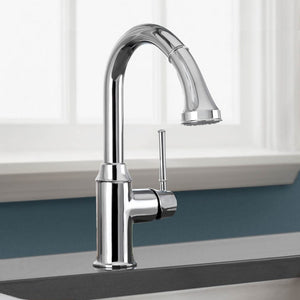 04216000 Kitchen/Kitchen Faucets/Pull Down Spray Faucets