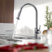 14877001 Kitchen/Kitchen Faucets/Pull Down Spray Faucets