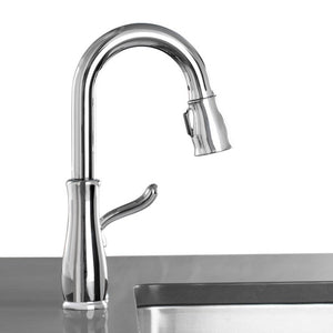 9978-DST Kitchen/Kitchen Faucets/Bar & Prep Faucets