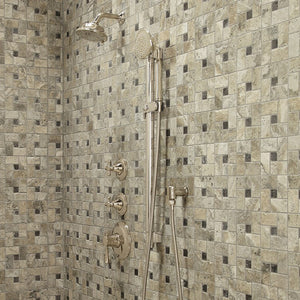 TS300F55#CP Bathroom/Bathroom Tub & Shower Faucets/Handshowers