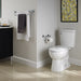 79760 Parts & Maintenance/Toilet Parts/Toilet Flush Handles