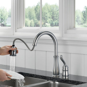 978-AR-DST Kitchen/Kitchen Faucets/Pull Down Spray Faucets