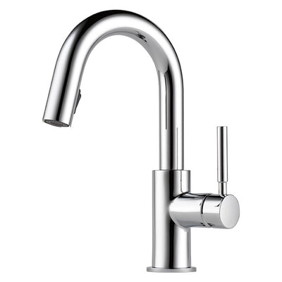Product Image: 63920LF-PC Kitchen/Kitchen Faucets/Bar & Prep Faucets