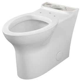 Equility Elongated Toilet Bowl without Tank