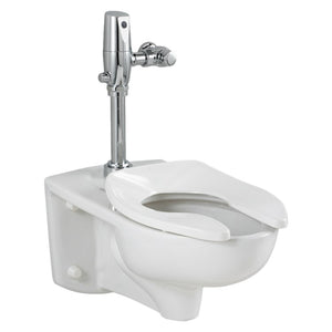 3351.101.020 Parts & Maintenance/Toilet Parts/Toilet Bowls Only