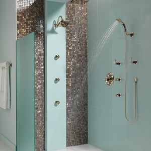 85885-PNCO Bathroom/Bathroom Tub & Shower Faucets/Handshowers