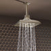 RP70764-BN Parts & Maintenance/Bathtub & Shower Parts/Shower Arms